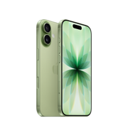 鼠尾草綠色 iPhone